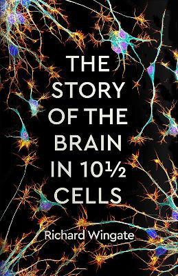 The Story of the Brain in 101/2 Cells(English, Hardcover, Wingate Richard)