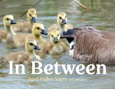 In Between(English, Hardcover, Sayre April Pulley)