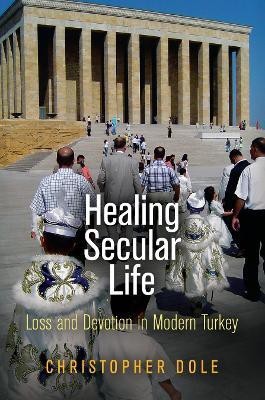 Healing Secular Life(English, Electronic book text, Dole Christopher)