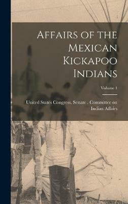 Affairs of the Mexican Kickapoo Indians; Volume 1(English, Hardcover, unknown)