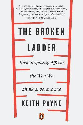 The Broken Ladder(English, Paperback, Payne Keith)