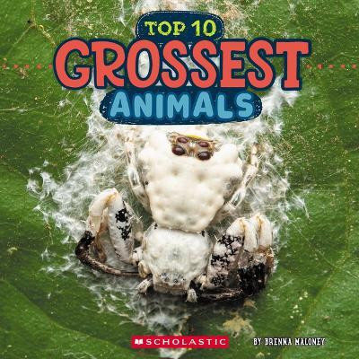 Grossest Animals (Wild World: Top 10)(English, Hardcover, Maloney Brenna)