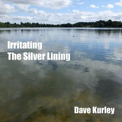 Irritating the Silver Lining(English, Paperback, Kurley Dave)