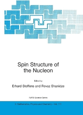 Spin Structure of the Nucleon(English, Paperback, unknown)