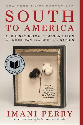 South to America(English, Paperback, Perry Imani)