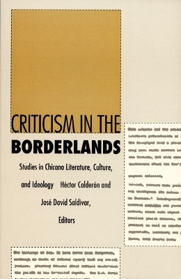 Criticism in the Borderlands(English, Paperback, unknown)