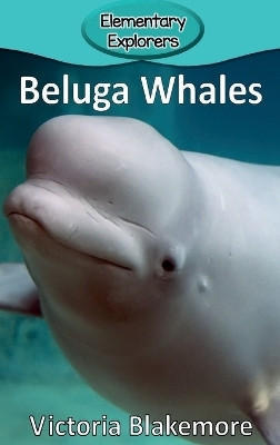 Beluga Whales(English, Hardcover, Blakemore Victoria)