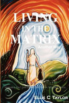 Living in the Matrix - Another Way(English, Paperback, Taylor Ellis)