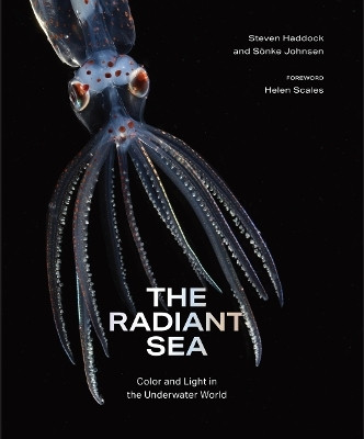 The Radiant Sea(English, Hardcover, Haddock Steven)