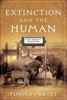 Extinction and the Human(English, Hardcover, Sweet Timothy)