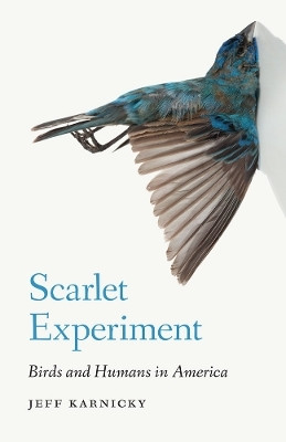 Scarlet Experiment(English, Hardcover, Karnicky Jeff)