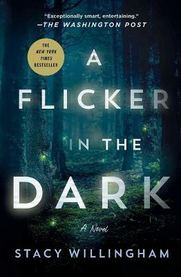 A Flicker in the Dark(English, Paperback, Willingham Stacy)