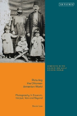 Picturing the Ottoman Armenian World(English, Paperback, Low David Dr)