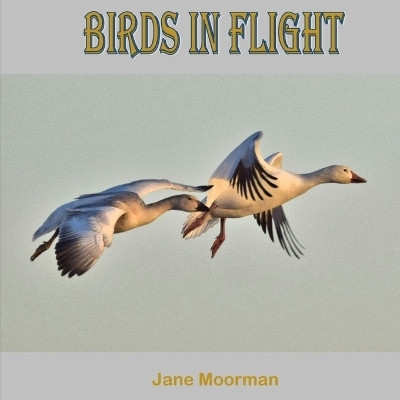 Birds in Flight(English, Paperback, Moorman Jane)