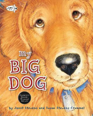 My Big Dog(English, Paperback, Stevens Janet)