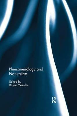 Phenomenology and Naturalism(English, Paperback, unknown)