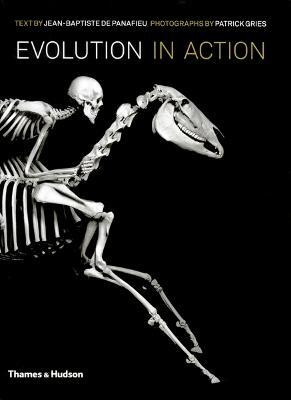 Evolution in Action  - Natural History through Spectacular Skeletons(English, Hardcover, unknown)