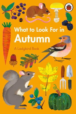 What to Look For in Autumn(English, Hardcover, Jenner Elizabeth)