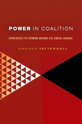 Power in Coalition(English, Electronic book text, Tattersall Amanda)