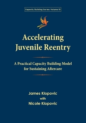 Accelerating Juvenile Reentry(English, Paperback, Klopovic James)
