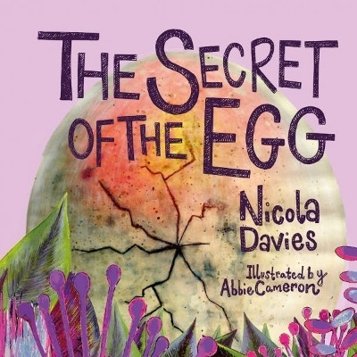 The Secret of the Egg(English, Hardcover, Davies Nicola)