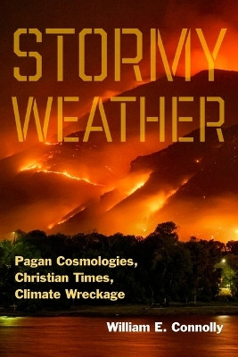 Stormy Weather(English, Hardcover, Connolly William E.)