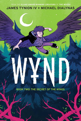 Wynd Book Two: The Secret of the Wings: Volume 2(English, Paperback, Tynion IV James)