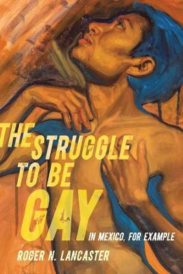 The Struggle to Be Gay-in Mexico, for Example(English, Paperback, Lancaster Roger N.)