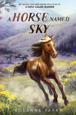 A Horse Named Sky(English, Paperback, Parry Rosanne)