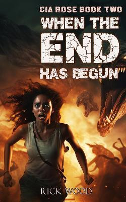 When the End Has Begun(English, Hardcover, Wood Rick)