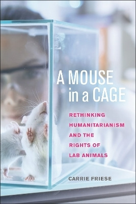 A Mouse in a Cage(English, Hardcover, Friese Carrie)
