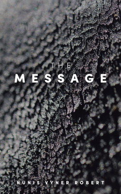 The Message(English, Paperback, Robert Nunis Vyner)