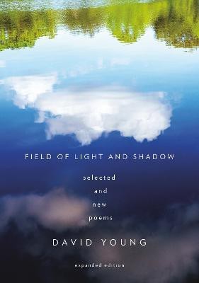 Field of Light and Shadow(English, Paperback, Young David)