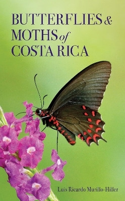 Butterflies and Moths of Costa Rica(English, Paperback, Murillo-Hiller Luis Ricardo)