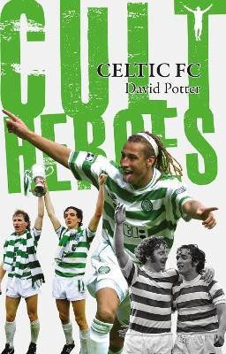Celtic Cult Heroes(English, Paperback, Potter David)