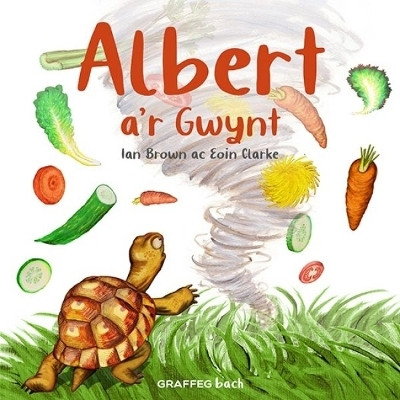 Albert a'r Gwynt(Welsh, Paperback, Brown Ian)