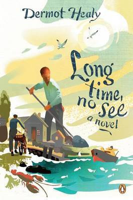 Long Time, No See(English, Paperback, Healy Dermot)