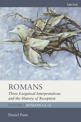 Romans: Three Exegetical Interpretations and the History of Reception(English, Paperback, Patte Daniel Professor)
