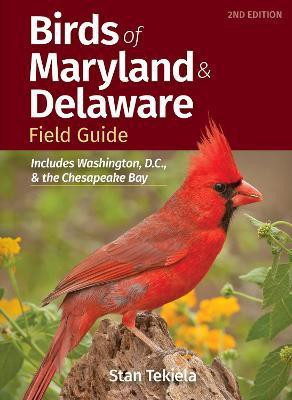 Birds of Maryland & Delaware Field Guide(English, Paperback, Tekiela Stan)