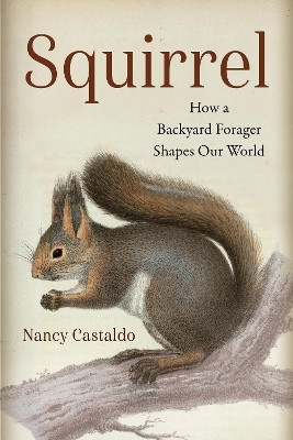 Squirrel(English, Hardcover, Castaldo Nancy)