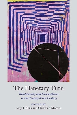 The Planetary Turn(English, Paperback, unknown)
