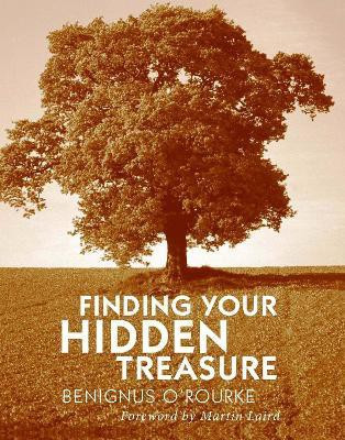 Finding Your Hidden Treasure(English, Paperback, O'Rourke Benignus)