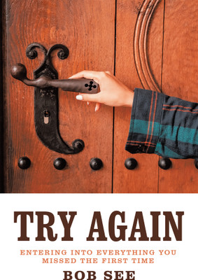 Try Again Entering into Everything You Missed the First Time(Paperback, Bob See)