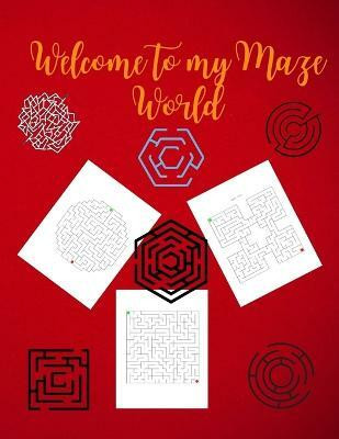 Welcome to My Maze World(English, Paperback, Hanson Danielle)