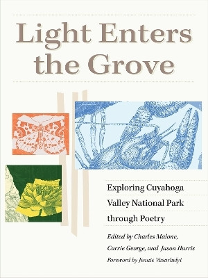 Light Enters the Grove(English, Paperback, unknown)