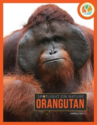 Orangutan(English, Paperback, Dell Pamela)