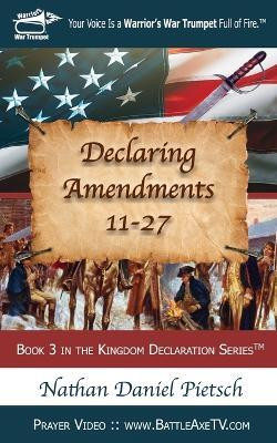 Declaring Amendments 11-27(English, Paperback, Pietsch Nathan Daniel)