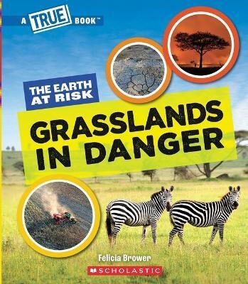 Grasslands in Danger (a True Book: The Earth at Risk)(English, Paperback, Brower Felicia)