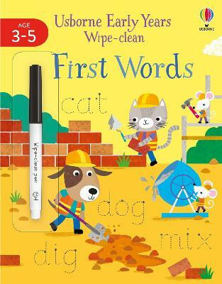Early Years Wipe-Clean First Words(English, Paperback, Greenwell Jessica)