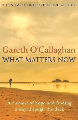 What Matters Now(English, Paperback, O'Callaghan Gareth)